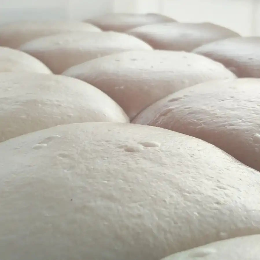 Fresh pizza dough ready for making pizzas at Pizzeria On The Road